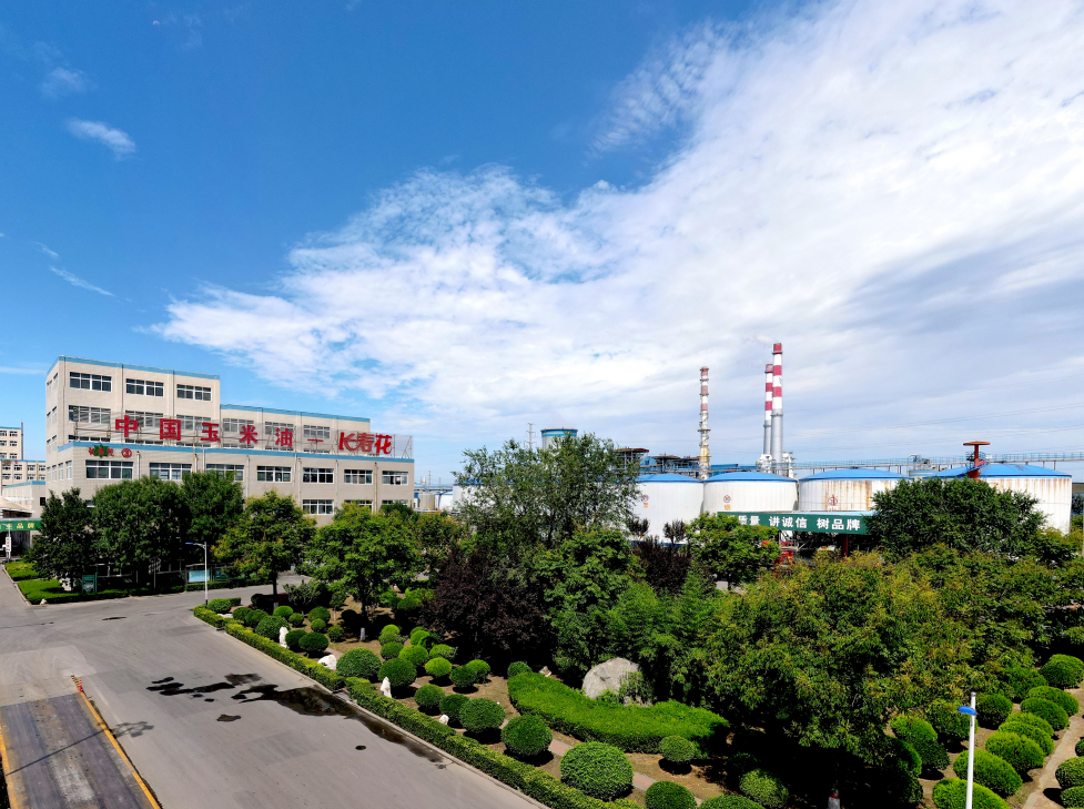 這些屬于長(zhǎng)壽花的關(guān)鍵詞標(biāo)簽，你了解嗎